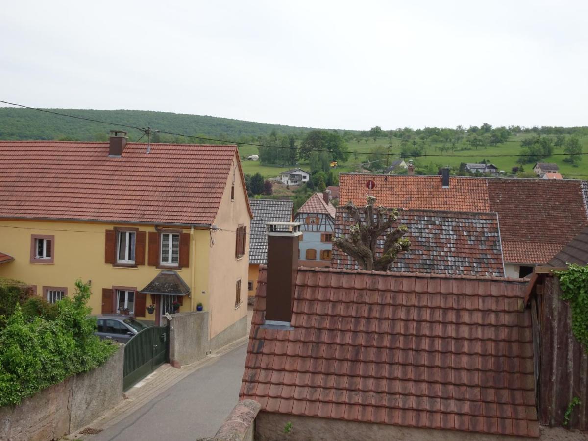 Le Noyer Villa Cosswiller Luaran gambar